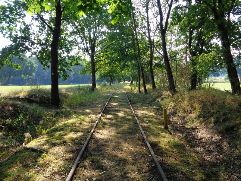 ZWNEGI17